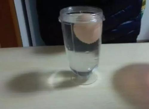 鸡蛋漂浮小实验
