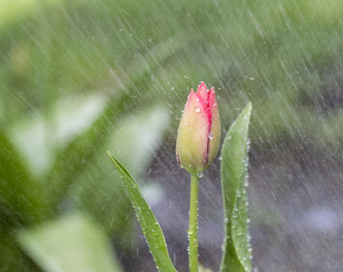 温暖的雨天