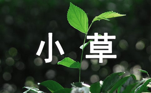 小草作文400字借物喻人