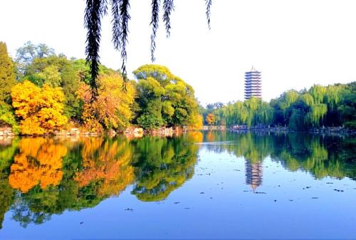 渭明湖的秋天