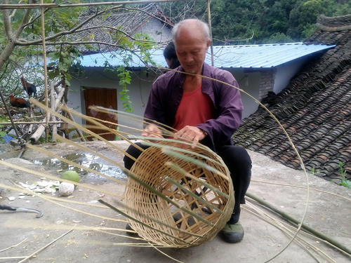 编织竹basket
