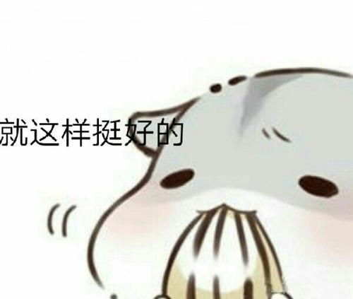 就是这样，很好