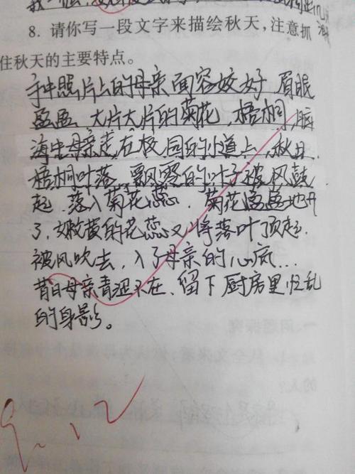 以梁为主题的作文