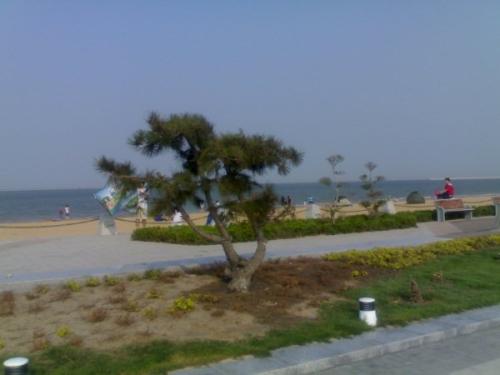 美丽的东江海滩