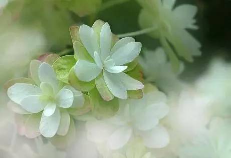 一阵风真好