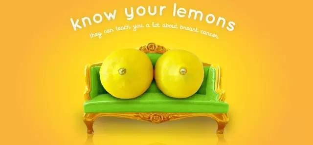 最后我了解柠檬