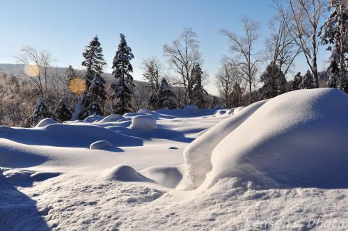 白雪