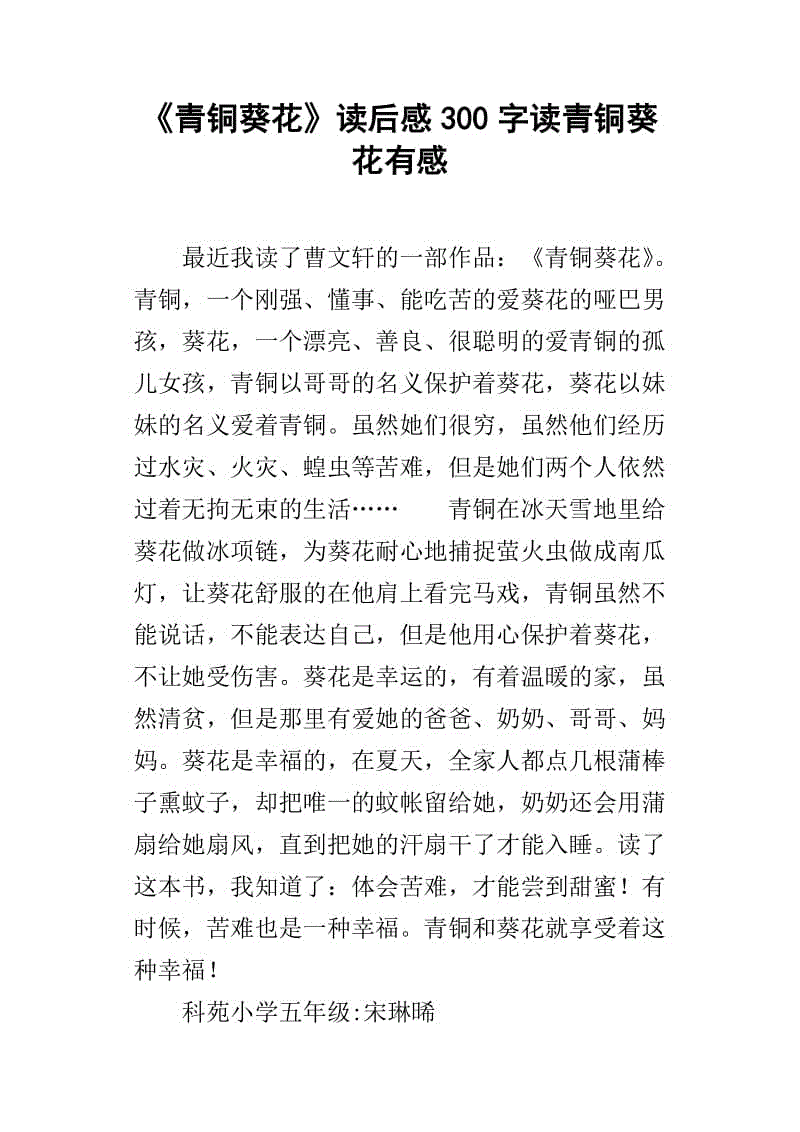 时代广场板球阅读后300字