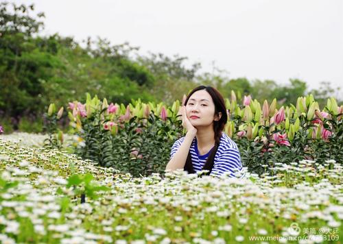 青春如花