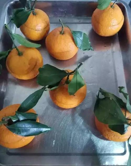 打橘子