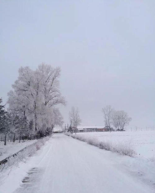 东北大雪