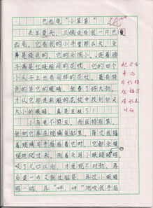 我的老师写了450字