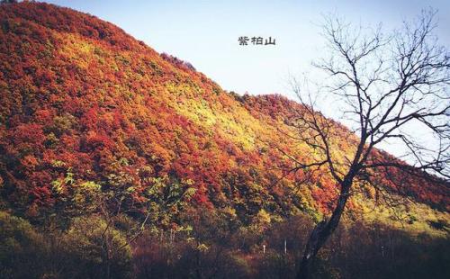 紫柏山的秋天