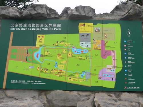 游览北京野生动物园