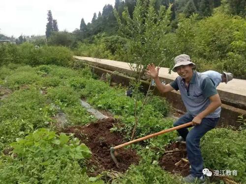 向雷锋学习绿色