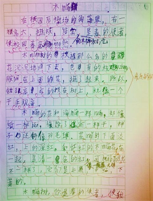 100字作文