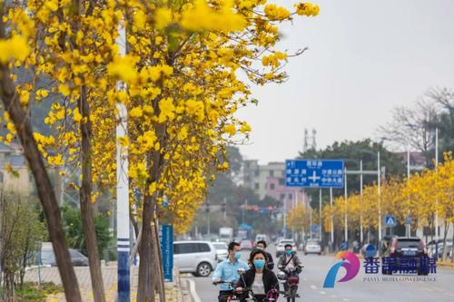 在那里，我迎来了“春天”