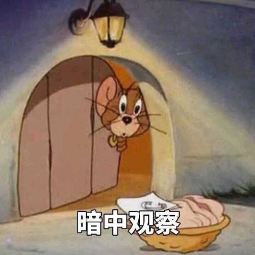 老鼠的疑惑