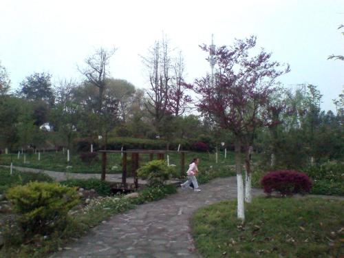 公园在春雨中