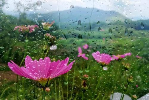 一层秋雨，一层凉