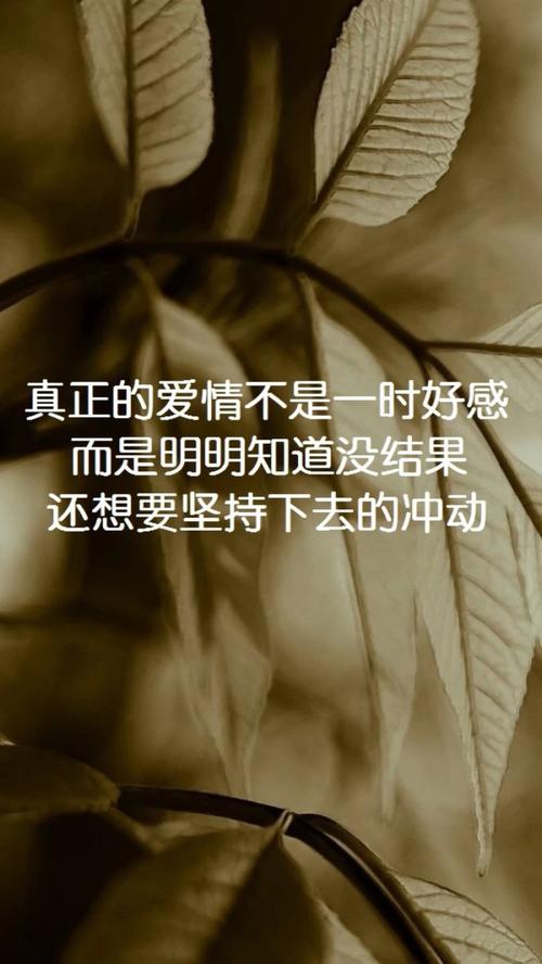 当时我有点“傻”