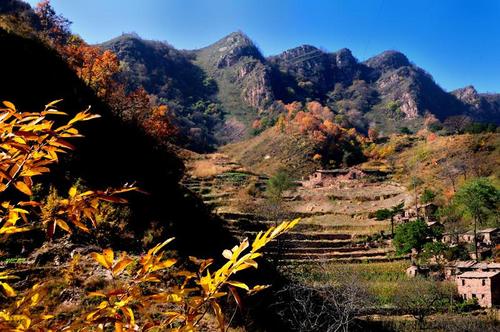 紫金山历险记