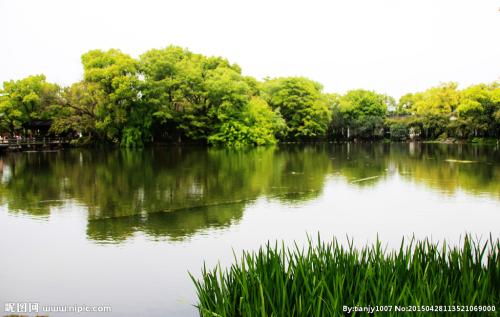 春天风景