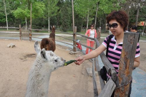 北京动物园旅行须知