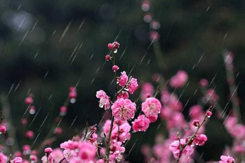 春雨的声音