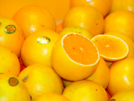 我喜欢吃的水果-橙色