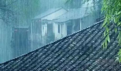 欣赏春雨