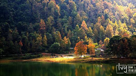 秋天的红枫湖