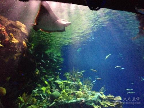 长风公园水族馆