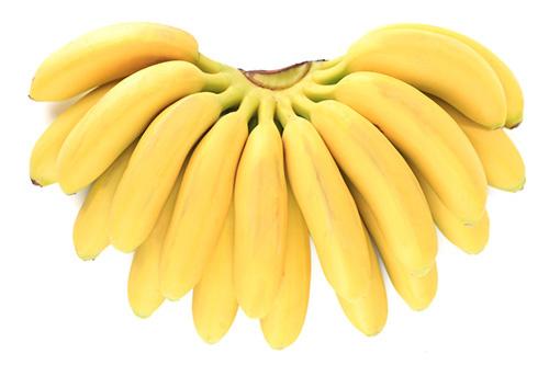 我最喜欢的水果香蕉