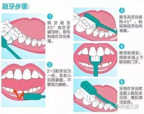 刷牙的过程