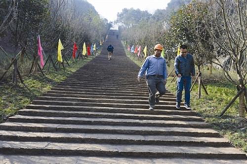 美丽的凤凰山公园