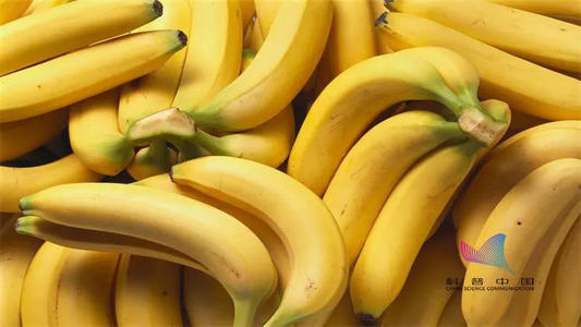 我最喜欢的香蕉