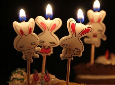 兔子的生日派对