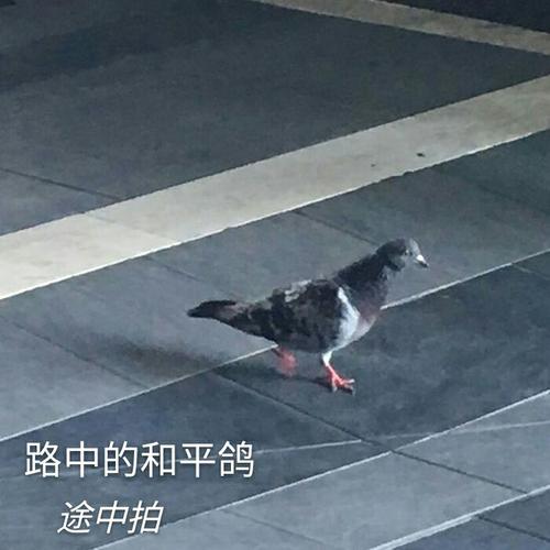 永远不会失明