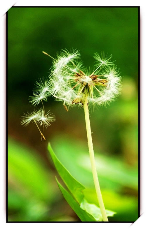 风吹的季节