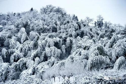 宁波降雪