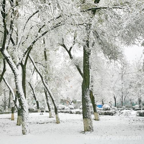 冬天的第一场雪