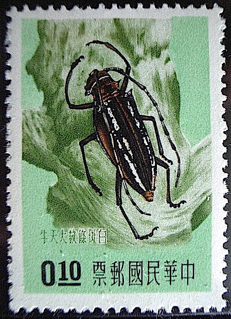 了解“邮票上的昆虫世界”