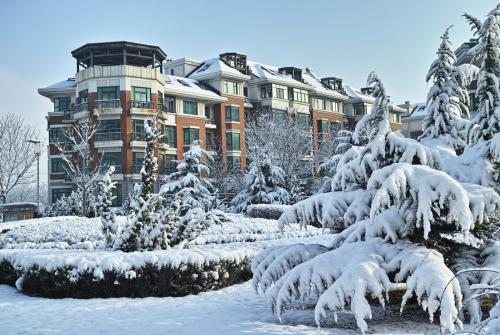 雪景