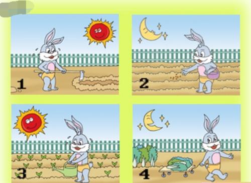 看照片并写一些关于兔子的东西，这些兔子根本不在乎他的眼睛