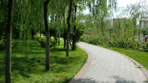 春季河滨公园