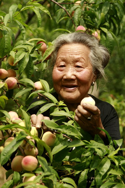 年纪大的女士