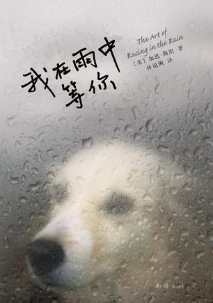 雨中的乐趣