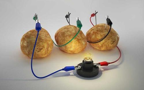 制作马铃薯电池