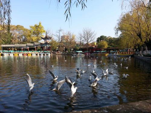 游翠湖公园